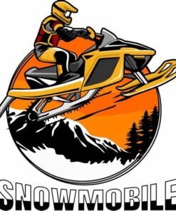 new sleds & snowmobiles